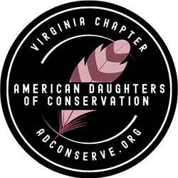 بنات الحفاظ على البيئة الأمريكيات - فرع Virginia