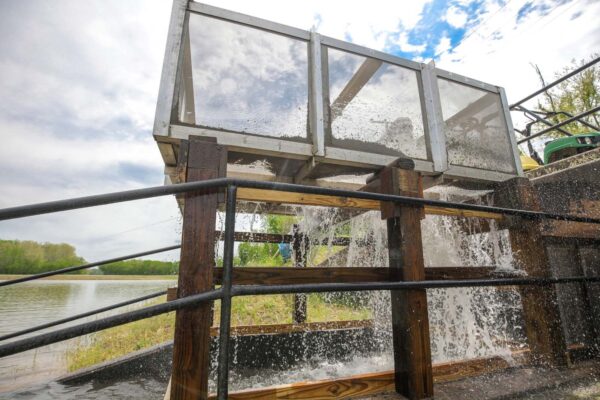 نظام التفريخ الذي ينقل الأسماك إلى أحواض السباحة.