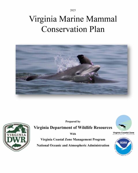 غلاف خطة الحفاظ على الثدييات البحرية في Virginia