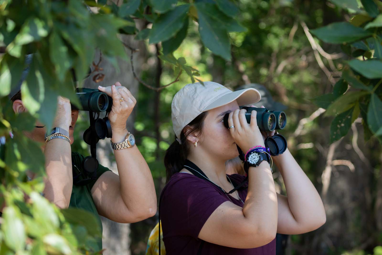 صورة متعلقة بهذا الموضوع