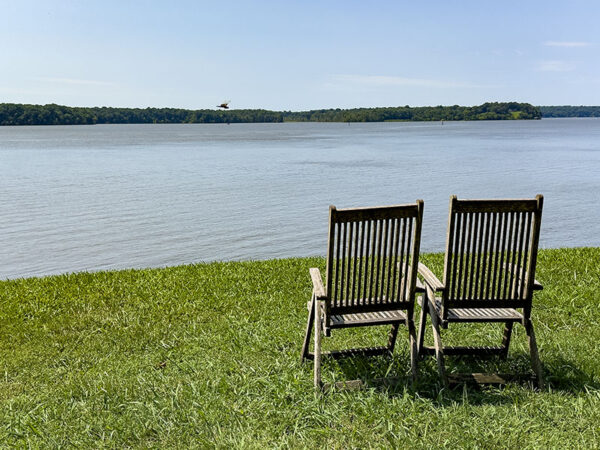 استرخِ على كرسي وشاهد النسور الصلعاء وهي تطوف أعلى وأسفل نهر جيمس. في فصل الشتاء، ابحث عن الطيور المائية. مصدر الصورة: ليزا ميس