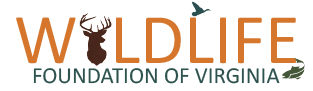 مؤسسة الحياة البرية في فيرجينيا