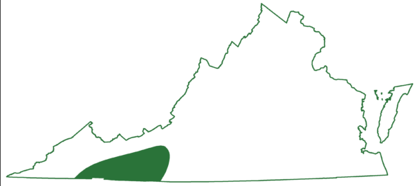 خريطة نطاق سمندل يونالوسي؛ يوجد فقط في المنطقة الغربية السفلى من ولاية فرجينيا