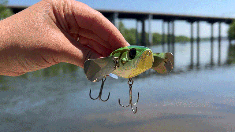 مقطع فيديو قصير لشخص يحمل زاحفاً فعالاً من المياه العلوية