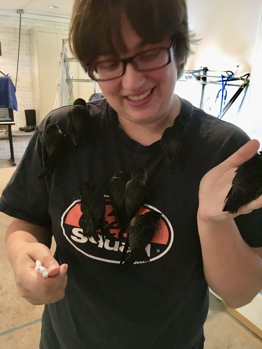 هايلي أولسن هودجز تحمل أعشاش مدخنة سويفت