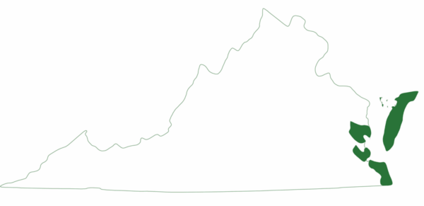 توجد السلحفاة البحرية جلدية الظهر فقط في مناطق مختارة من الشاطئ الشرقي لفيرجينيا.