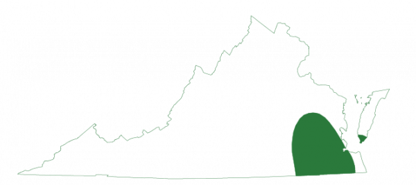 لا يوجد ضفدع النمر الساحلي في وسط المحيط الأطلسي إلا في السهول الفيضية الشرقية السفلى من ولاية فرجينيا.