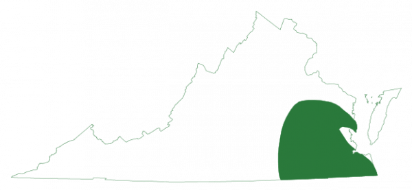 يوجد ضفدع أشجار الصنوبر الخشبي في المناطق الجنوبية الشرقية من ولاية فرجينيا داخل السهل الساحلي