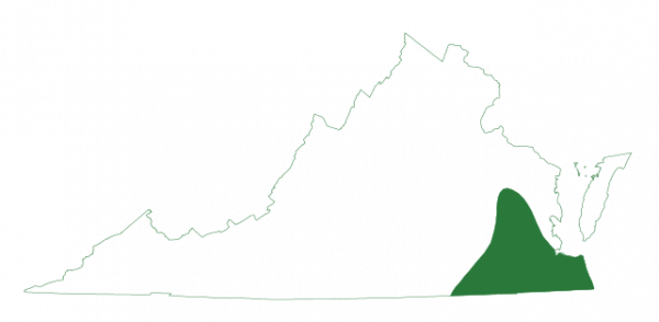 صورة لخريطة نطاق الضفدع الجنوبي الذي يتواجد على الحدود الجنوبية الشرقية لفيرجينيا