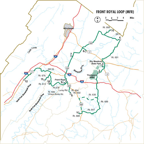 حلقة VBWT Loop MFR