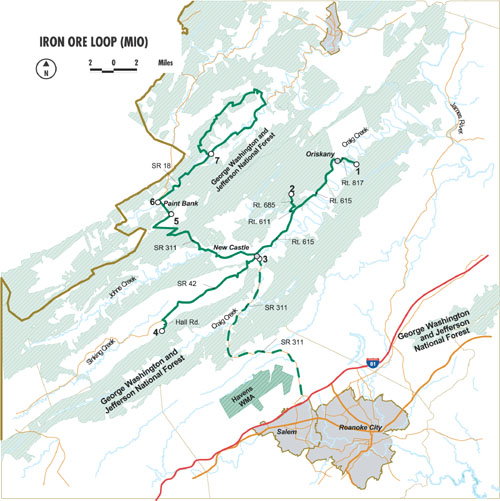 حلقة VBWT Loop: MIO
