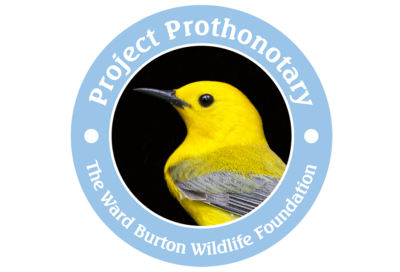 انقر لفتح رابط لمؤسسة وارد بيرتون للحياة البرية