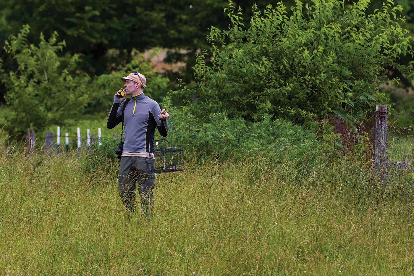 بعد تلقي موقع الصرصور، قام أحد موظفي DWR بوضع مصيدة حية تحتوي على فأر بالقرب من المنطقة المجاورة له