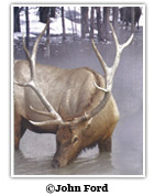 المناظر الطبيعية بالأمس